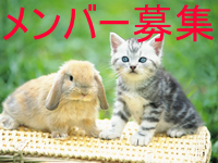 �C���[�W04